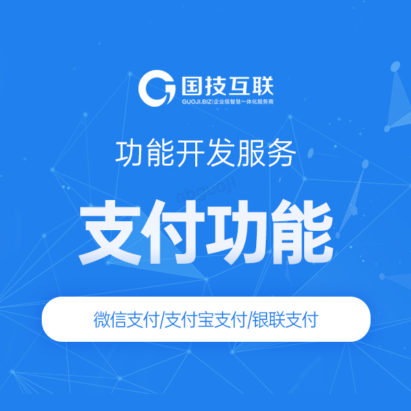 支付功能